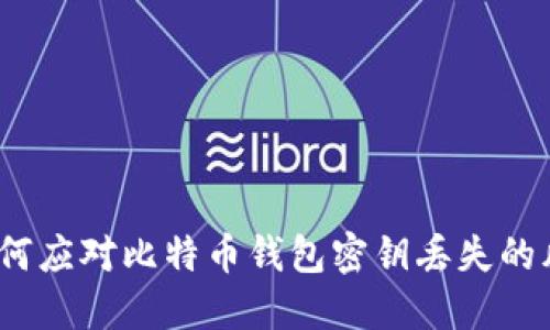 : 如何应对比特币钱包密钥丢失的风险?