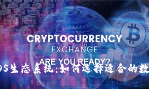 比特币钱包与EOS生态系统:如何选择适合的数字资产管理工具