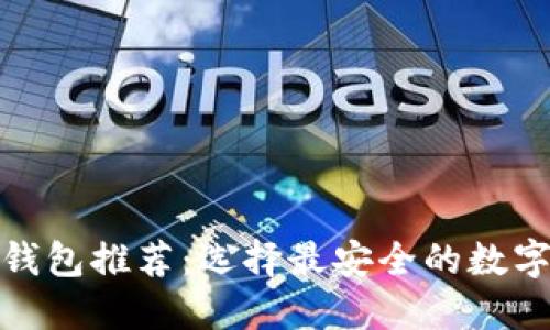 数字货币钱包推荐:选择最安全的数字货币钱包