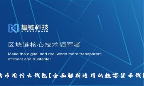 买狗狗币用什么钱包?全面解析适用的数字货币钱包选择