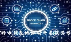 比特币钱包地址前十名及其分析