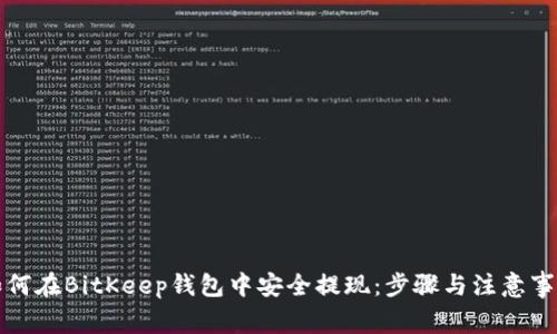 如何在BitKeep钱包中安全提现:步骤与注意事项