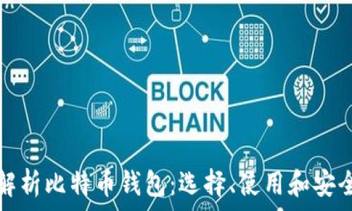 全面解析比特币钱包:选择、使用和安全指南
