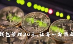 如何利用数字钱包管理30元,让每一分钱都花得更