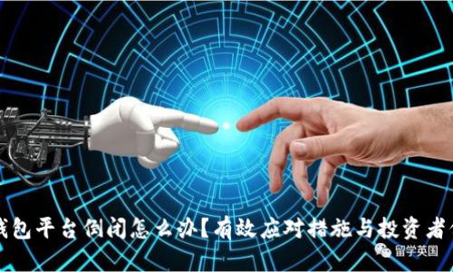 比特币钱包平台倒闭怎么办?有效应对措施与投资者保护指南