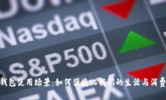 数字钱包使用场景:如何便捷化我们的生活与消