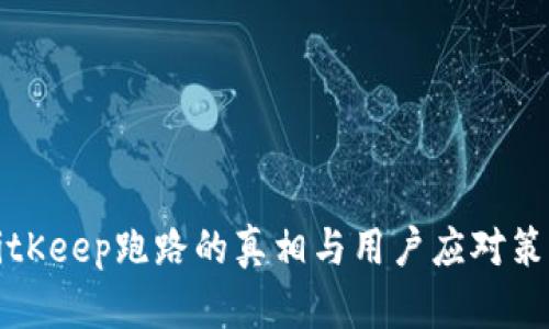 BitKeep跑路的真相与用户应对策略