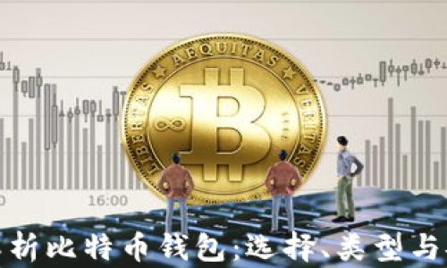 全面解析比特币钱包:选择、类型与安全性