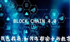 币圈安全钱包指南:如何选择安全的数字货币钱