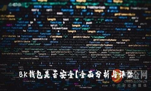 BK钱包是否安全?全面分析与评估