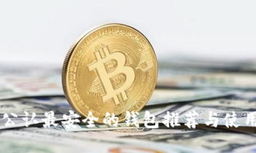 币圈公认最安全的钱包推荐与使用指南