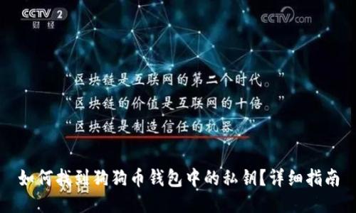 如何找到狗狗币钱包中的私钥?详细指南