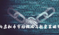 国内虚拟币市场概况与投资策略分析
