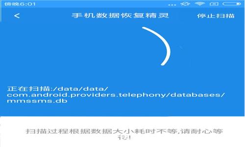 如何恢复LTC手机钱包:详细步骤与常见问题解答