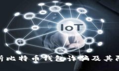 全面解析比特币钱包诈骗及其防范措施