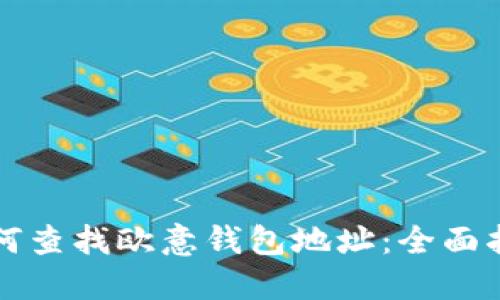 如何查找欧意钱包地址:全面指南