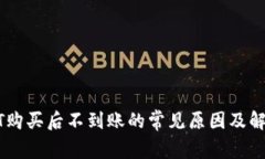 : USDT购买后不到账的常见原因及解决方法