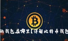 一般存比特币的钱包在哪里？详解比特币钱包的