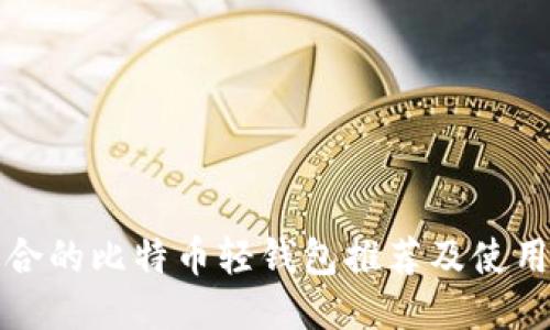 最适合的比特币轻钱包推荐及使用指南