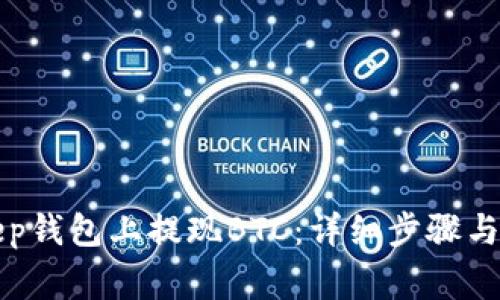 如何在Bitkeep钱包上提现BTC：详细步骤与常见问题解析