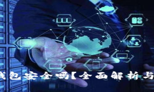 c币数字钱包安全吗?全面解析与用户指导
