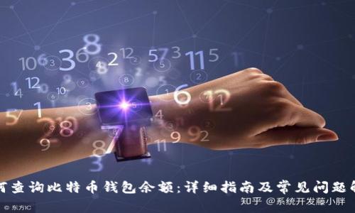 如何查询比特币钱包余额:详细指南及常见问题解答