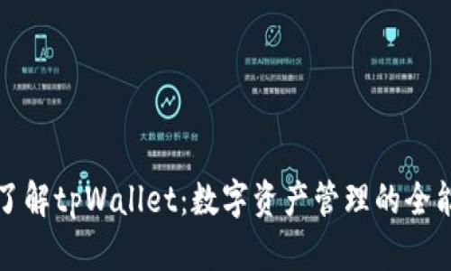 全面了解tpWallet：数字资产管理的全能工具