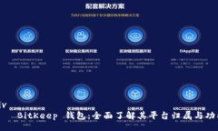 div BitKeep 钱包:全面了解其平台归属与功能