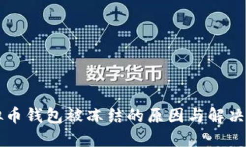 虚拟币钱包被冻结的原因与解决方案