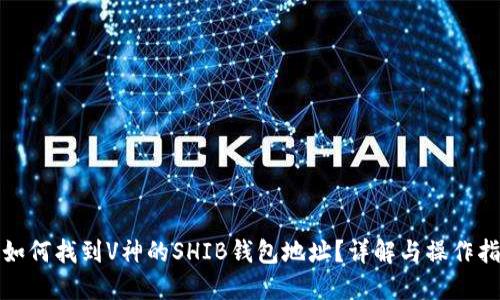 : 如何找到V神的SHIB钱包地址?详解与操作指南