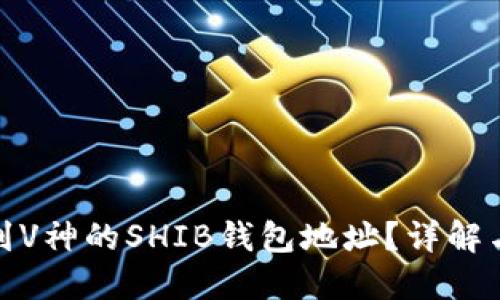 : 如何找到V神的SHIB钱包地址?详解与操作指南