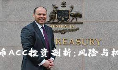 数字货币ACC投资剖析：风险与机遇并存