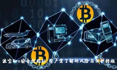 波宝Pro安全性揭秘:用户需了解的风险与保护措施