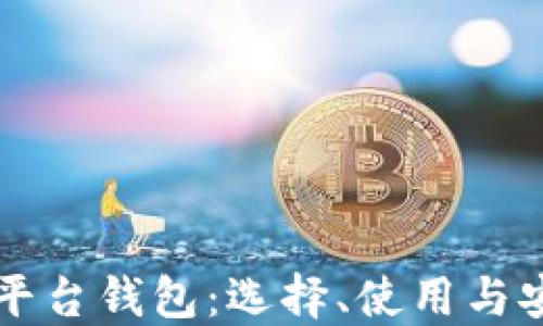 比特币平台钱包:选择、使用与安全指南