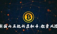 全面解析国内正规的虚拟币:投资风险与机遇