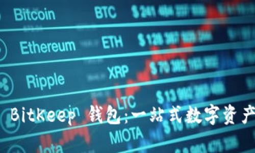 全面解析 BitKeep 钱包：一站式数字资产管理工具