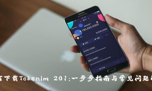 如何下载Tokenim 201：一步步指南与常见问题解答