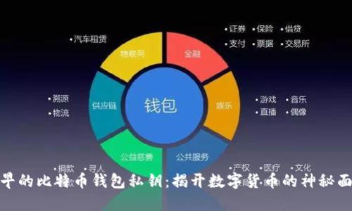 最早的比特币钱包私钥：揭开数字货币的神秘面纱
