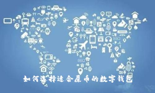 如何选择适合屎币的数字钱包