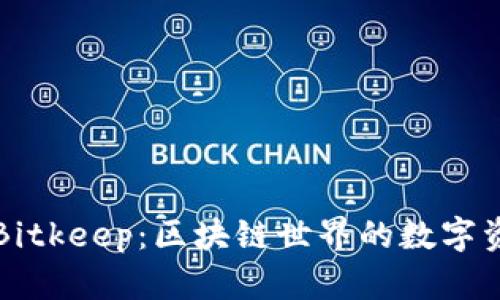 比特钱包Bitkeep：区块链世界的数字资产守护者