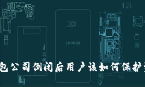 冷钱包公司倒闭后用户该如何保护资产？