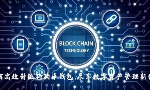 如何高效升级狗狗币钱包，尽享数字资产管理新体验