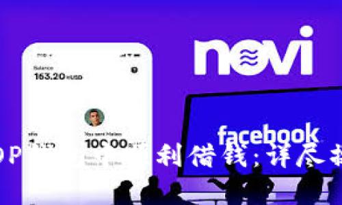 如何在OP钱包中顺利借钱：详尽操作指南