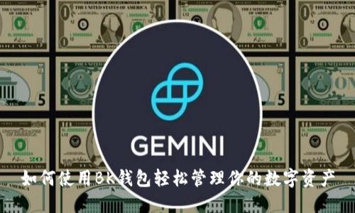 如何使用BK钱包轻松管理你的数字资产