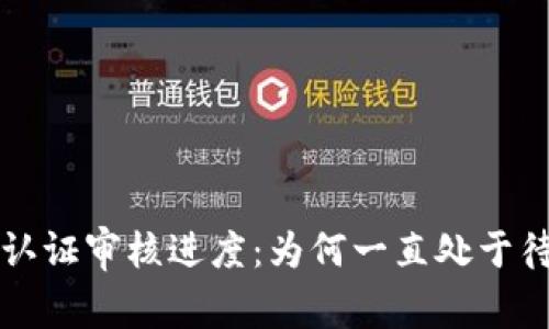 Pi币KYC认证审核进度：为何一直处于待审状态？