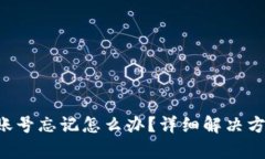 Bitkeep钱包账号忘记怎么办？详细解决方案与问题
