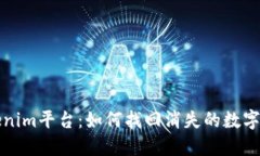 Tokenim平台：如何找回消失的数字资产