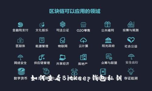 如何查看BitKeep钱包私钥