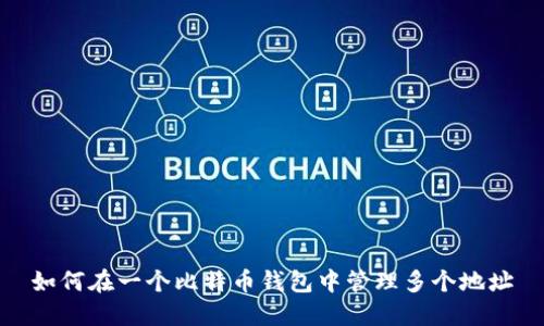 如何在一个比特币钱包中管理多个地址