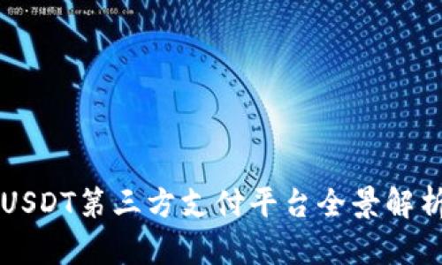 USDT第三方支付平台全景解析